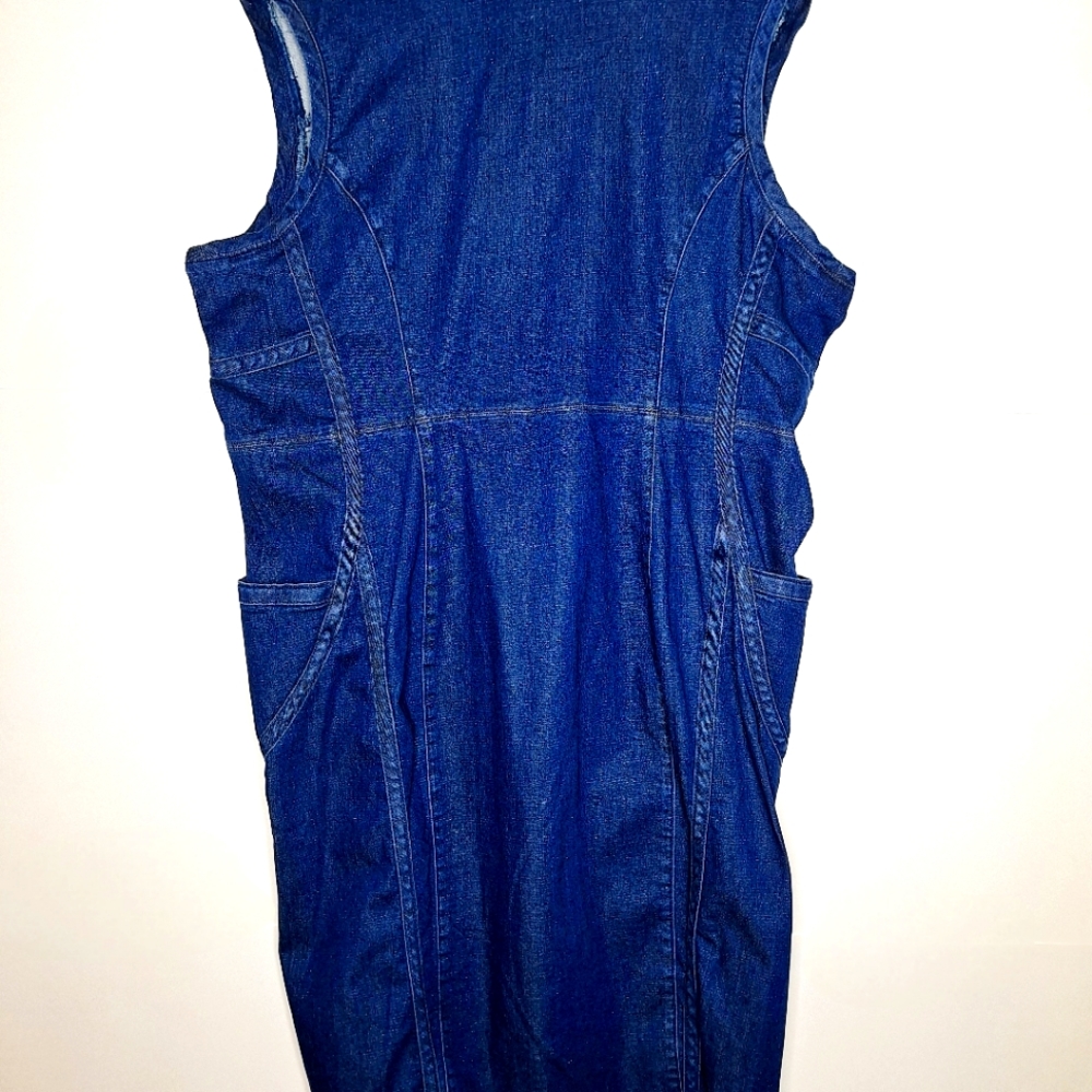 NWT LaLa Anthony brand " The Double Dare Zipper" plus size Jean dress  size 24.
